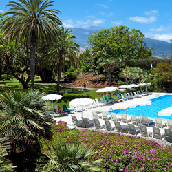 journey for new insights into life with coaching and  wellness at Tenerife.